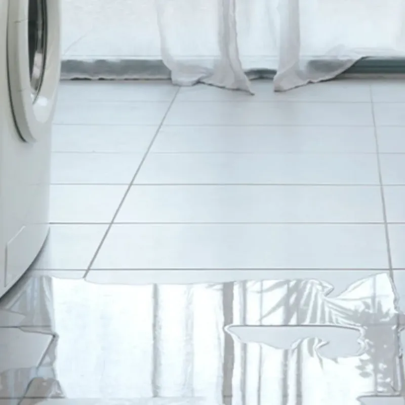 Appliance Leak Cleanup in Chippewa County, MI