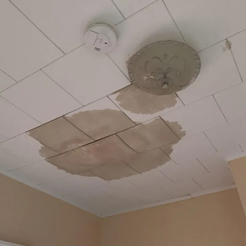 Ceiling Water Damage Repair in Chippewa County, MI