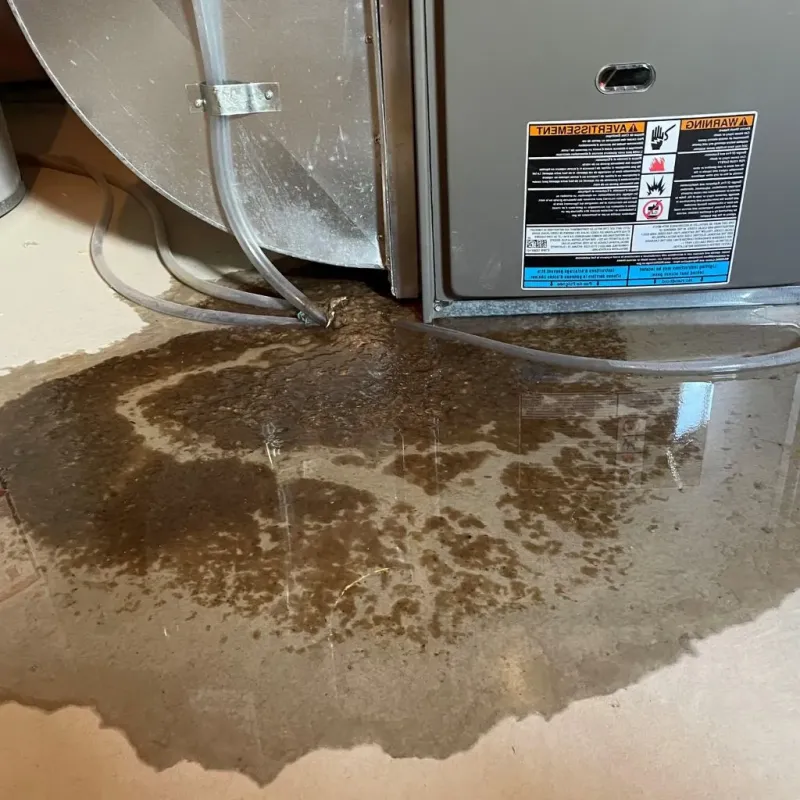 Pipe Burst and Leak Restoration in Chippewa County, MI