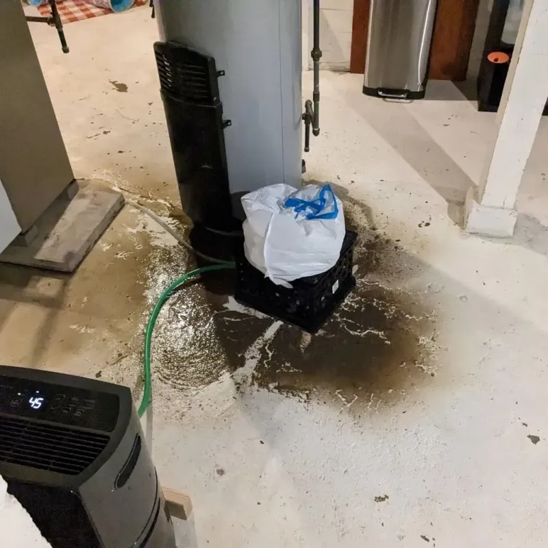 Sewage Backup Cleanup Service in Chippewa County, MI